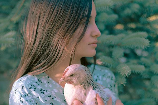 Child holding a chicken - One Health